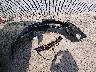 3GYFNEE36FS****** Wrecked 2015 Cadillac SRX in Wisconsin State