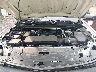 1GCPSBEK0R1****** Reparables 2024 Chevrolet Colorado en Suffolk