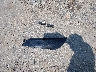 JYARP29EXJA****** Wrecked 2018 Yamaha FJR1300 in North Carolina State