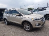 1FMCU9GD2HU****** Wrecked 2017 Ford Escape in Colorado State