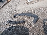 2GNALBEK3F1****** Destrozados 2015 Chevrolet Equinox en Estado de Ohio