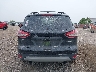 1FMCU0GX9DU****** Destrozados 2013 Ford Escape