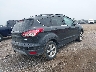 1FMCU0GX9DU****** Salvamento y Destrozados 2013 Ford Escape en Estado de Michigan