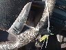3N1CN7AP7FL****** Salvamento 2015 Nissan Versa en Estado de Texas
