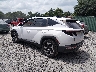 5NMJCCAE7NH****** Salvamento y Reparables 2022 Hyundai Tucson en Charleston