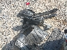 3N1AB8CV9RY****** Wrecked 2024 Nissan Sentra in North Carolina State
