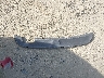 3FAHP0HA3BR****** Wrecked 2011 Ford Fusion in Georgia State