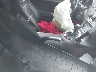 1G2MF35X98Y****** Used and Repairable 2008 Pontiac Solstice in Indiana State