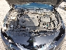 1N4AA6AP2GC****** Reparables 2016 Nissan Maxima en Jacksonville (Pecan Park)