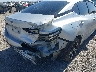 3N1AB8CV3PY****** Salvamento y Reparables 2023 Nissan Sentra en Estado de California