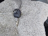 1GCHSBEA2M1****** Salvage 2021 Chevrolet Colorado in Florida State