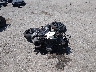 JH2PC40059K****** Salvamento y Destrozados 2009 Honda Cbr600 en Rec Rides Online Exclusive