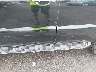 JTJBT20X280****** Salvage and Wrecked 2008 Lexus GX 470 in Illinois State