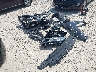 1HGCR2F82EA****** Destrozados 2014 Honda Accord en Estado de Ohio