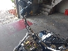 1HD1YNJ28KB****** Reparables 2019 Harley-Davidson Low Rider