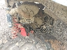 3JB1WAX49NK****** Destrozados 2022 Can-Am Maverick Trail/Maverick Sport en Rec Rides Online Exclusive