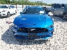 1FA6P8CF6K5****** Salvamento y Reparables 2019 Ford Mustang en Estado de Texas