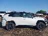 2T3E6RFVXRW****** Repairable 2024 Toyota RAV4 Hybrid in New York State