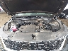 5XYRL4JC1SG****** Reparables 2025 Kia Sorento en Phoenix