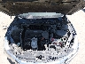 1HGCR2F92HA****** Repairable 2017 Honda Accord in Houston