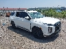 KM8R7DGE3SU****** Salvamento y Destrozados 2025 Hyundai Palisade en Pittsburgh
