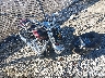 JH2RC50384M****** Salvage and Wrecked 2004 Honda Vt750 in Wilmington