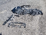 4T1BF1FK8FU****** Destrozados 2015 Toyota Camry en Estado de Carolina del Sur