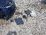 1N4AL2AP7CC****** Wrecked 2012 Nissan Altima in Ohio State