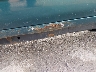 1GNDT13W1T2****** Destrozados 1996 Chevrolet Blazer en Estado de Kentucky
