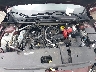 3N1AB8CV2PY****** Reparables 2023 Nissan Sentra en Elkton
