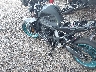 JYARN71E5PA****** Salvage and Repairable 2023 Yamaha MT-09 in Rec Rides Online Exclusive