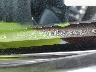 1G1AY8765BS****** Destrozados 1981 Chevrolet Corvette