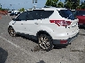 1FMCU0J91DU****** Salvage and Repairable 2013 Ford Escape in Memphis