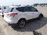 1FMCU0J91DU****** Salvage and Wrecked 2013 Ford Escape in Tennessee State