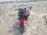 JH2PC404XBK****** Used and Repairable 2011 Honda CBR600RR in Washington State