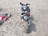 JH2PC404XBK****** Salvage and Repairable 2011 Honda CBR600RR in Washington State