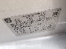 1GTV2UEC0FZ****** Usados 2015 GMC Sierra 1500 en Indianapolis
