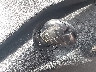 1C4PJMCB0GW****** Salvage 2016 Jeep Cherokee in Florida State