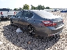 1HGCR2F73HA****** Salvage and Repairable 2017 Honda Accord in Lafayette
