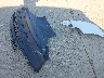1FM5K8AB7NG****** Wrecked 2022 Ford Police Interceptor Utility in Indiana State