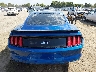1FA6P8CF6H5****** Usados 2017 Ford Mustang