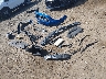 1FA6P8CF6H5****** Destrozados 2017 Ford Mustang en Estado de Arkansas