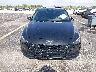 5NPLS4AG3PH****** Destrozados 2023 Hyundai Elantra en Estado de Florida