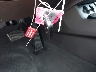 5NMZU3LB9JH****** Salvage 2018 Hyundai Santa Fe in Texas State