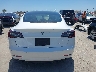 5YJ3E1EB2MF****** Used 2021 Tesla Model 3