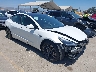 5YJ3E1EB2MF****** Salvage and Wrecked 2021 Tesla Model 3 in Electric Vehicle Auctions