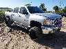 3GCPKSE77DG****** Salvamento y Destrozados 2013 Chevrolet Silverado 1500 en Fort Myers