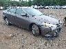4T1BF1FKXHU****** Salvage and Wrecked 2017 Toyota Camry in Sayreville