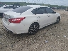 1N4AL3AP4GC****** Salvamento y Destrozados 2016 Nissan Altima en Estado de Florida