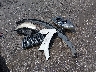 5GAKRBKD4DJ****** Wrecked 2013 Buick Enclave in Louisiana State